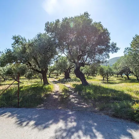 Irida Tatil Evi Keri