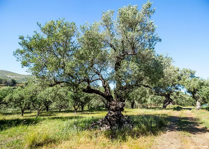 Irida Сasa de vacaciones