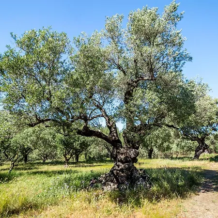 Irida Hébergement de vacances