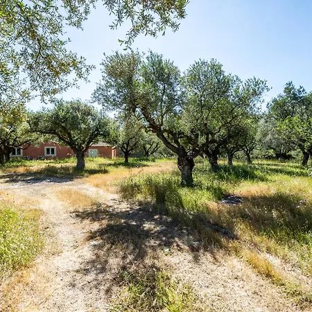 Irida * Керион