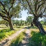 בית נופש Irida *
