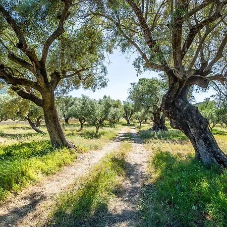 Σπίτι διακοπών Irida *